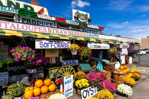 Fruitland-01b-2025-Kevin-Moore