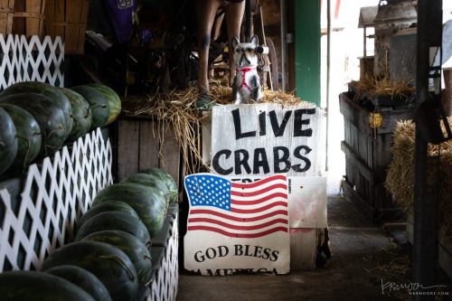 Fruitland-07-2025-Kevin-Moore