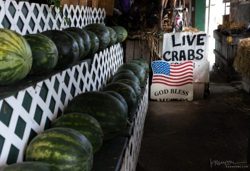 Fruitland-13-2025-Kevin-Moore