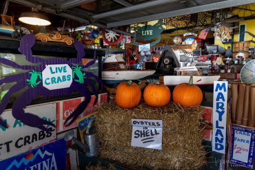 Fruitland-15-2025-Kevin-Moore